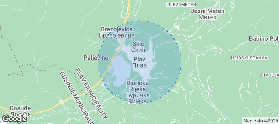 Discover Plav Airbnb Analytics